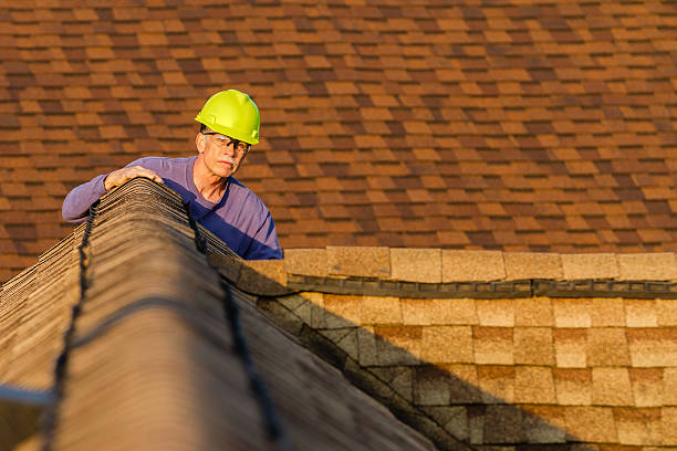 Best Roof Leak Repair  in Fountain Green, UT